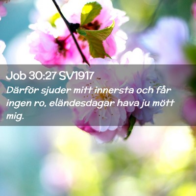 Picture 02 - Job 30:27 SV1917 - Därför sjuder mitt innersta och får ingen ro, - Bible Verse Picture
