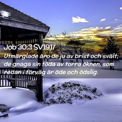 Picture 02 - Job 30:3 SV1917 - Utmärglade äro de ju av brist och svält; de - Bible Verse Picture