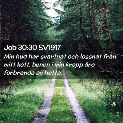 Picture 02 - Job 30:30 SV1917 - Min hud har svartnat och lossnat från mitt - Bible Verse Picture