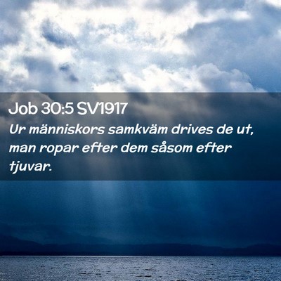 Picture 02 - Job 30:5 SV1917 - Ur människors samkväm drives de ut, man ropar - Bible Verse Picture