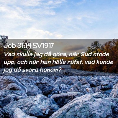 Picture 02 - Job 31:14 SV1917 - Vad skulle jag då göra, när Gud stode upp, och - Bible Verse Picture
