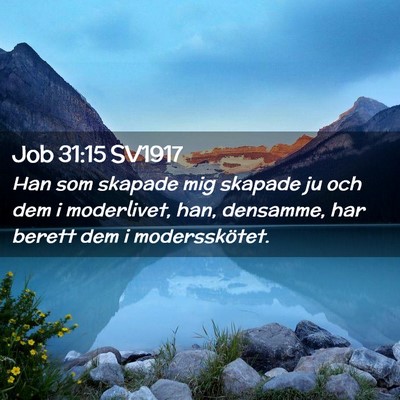 Picture 02 - Job 31:15 SV1917 - Han som skapade mig skapade ju och dem i - Bible Verse Picture