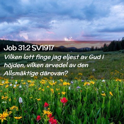 Picture 02 - Job 31:2 SV1917 - Vilken lott finge jag eljest av Gud i höjden, - Bible Verse Picture