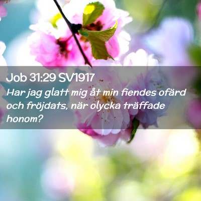 Picture 02 - Job 31:29 SV1917 - Har jag glatt mig åt min fiendes ofärd och - Bible Verse Picture
