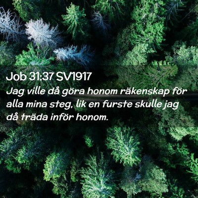 Picture 02 - Job 31:37 SV1917 - Jag ville då göra honom räkenskap för alla - Bible Verse Picture