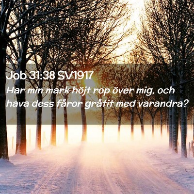 Picture 02 - Job 31:38 SV1917 - Har min mark höjt rop över mig, och hava dess - Bible Verse Picture