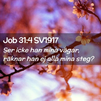 Picture 02 - Job 31:4 SV1917 - Ser icke han mina vägar, räknar han ej alla - Bible Verse Picture