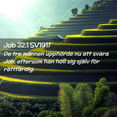 Picture 02 - Job 32:1 SV1917 - De tre männen upphörde nu att svara Job, - Bible Verse Picture