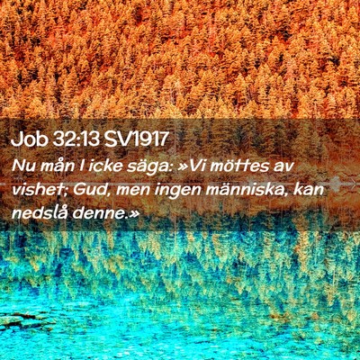 Picture 02 - Job 32:13 SV1917 - Nu mån I icke säga: »Vi möttes av vishet; - Bible Verse Picture