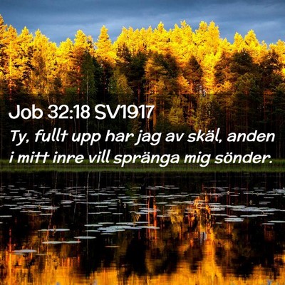 Picture 02 - Job 32:18 SV1917 - Ty, fullt upp har jag av skäl, anden i mitt inre - Bible Verse Picture