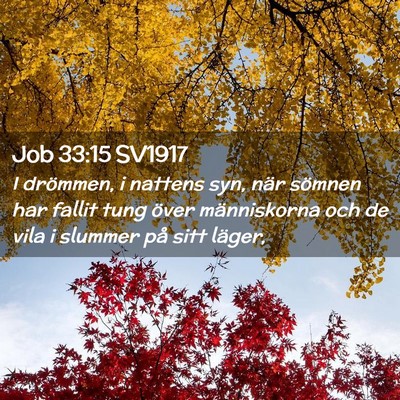 Picture 02 - Job 33:15 SV1917 - I drömmen, i nattens syn, när sömnen har - Bible Verse Picture