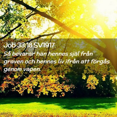 Picture 02 - Job 33:18 SV1917 - Så bevarar han hennes själ från graven och - Bible Verse Picture