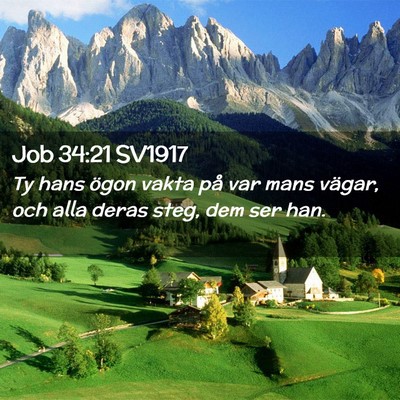 Picture 02 - Job 34:21 SV1917 - Ty hans ögon vakta på var mans vägar, och alla - Bible Verse Picture