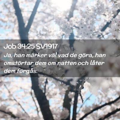 Picture 02 - Job 34:25 SV1917 - Ja, han märker väl vad de göra, han omstörtar - Bible Verse Picture