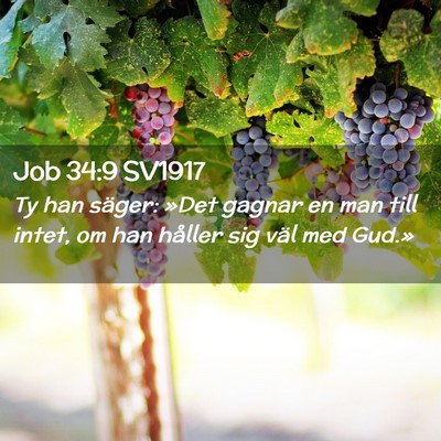 Picture 02 - Job 34:9 SV1917 - Ty han säger: »Det gagnar en man till intet, om - Bible Verse Picture
