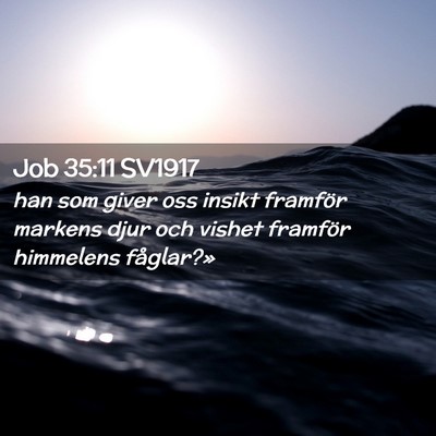 Picture 02 - Job 35:11 SV1917 - han som giver oss insikt framför markens djur - Bible Verse Picture