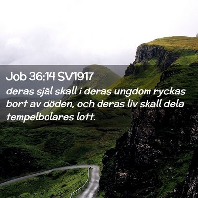 Picture 02 - Job 36:14 SV1917 - deras själ skall i deras ungdom ryckas bort av - Bible Verse Picture