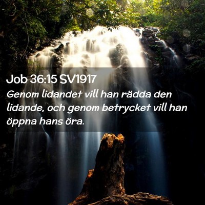 Picture 02 - Job 36:15 SV1917 - Genom lidandet vill han rädda den lidande, och - Bible Verse Picture
