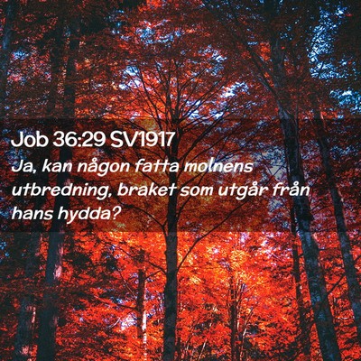 Picture 02 - Job 36:29 SV1917 - Ja, kan någon fatta molnens utbredning, braket - Bible Verse Picture