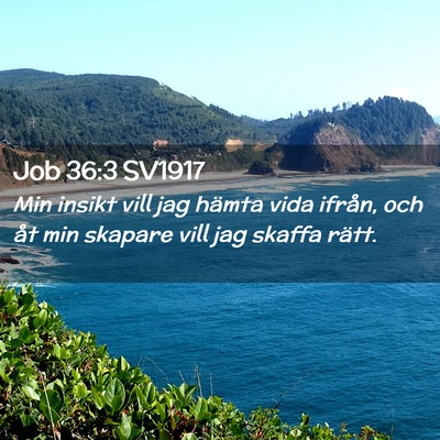 Picture 02 - Job 36:3 SV1917 - Min insikt vill jag hämta vida ifrån, och åt - Bible Verse Picture