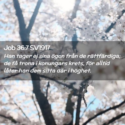 Picture 02 - Job 36:7 SV1917 - Han tager ej sina ögon från de rättfärdiga; - Bible Verse Picture