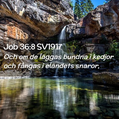 Picture 02 - Job 36:8 SV1917 - Och om de läggas bundna i kedjor och fångas i - Bible Verse Picture