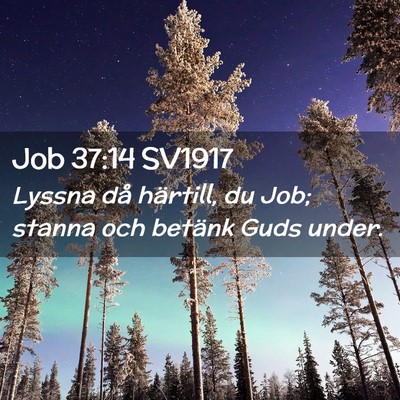 Picture 02 - Job 37:14 SV1917 - Lyssna då härtill, du Job; stanna och betänk - Bible Verse Picture