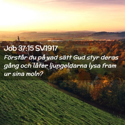 Picture 02 - Job 37:15 SV1917 - Förstår du på vad sätt Gud styr deras gång - Bible Verse Picture