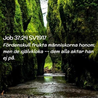 Picture 02 - Job 37:24 SV1917 - Fördenskull frukta människorna honom; men de - Bible Verse Picture