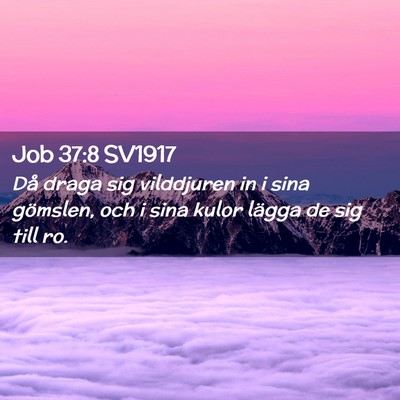 Picture 02 - Job 37:8 SV1917 - Då draga sig vilddjuren in i sina gömslen, och - Bible Verse Picture