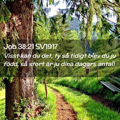 Picture 02 - Job 38:21 SV1917 - Visst kan du det, ty så tidigt blev du ju född, - Bible Verse Picture