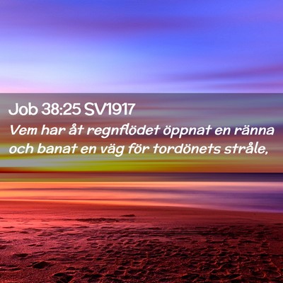 Picture 02 - Job 38:25 SV1917 - Vem har åt regnflödet öppnat en ränna och - Bible Verse Picture