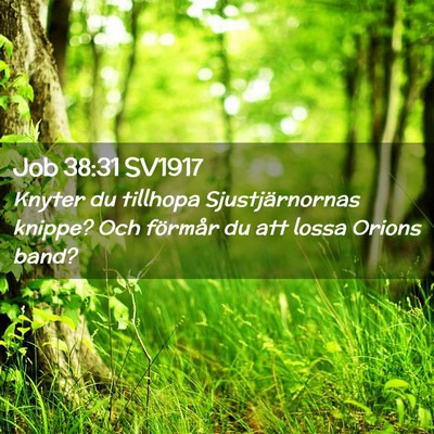 Picture 02 - Job 38:31 SV1917 - Knyter du tillhopa Sjustjärnornas knippe? Och - Bible Verse Picture