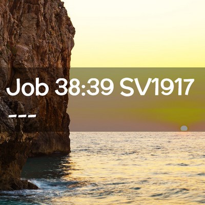 Picture 02 - Job 38:39 SV1917 -  - Bible Verse Picture