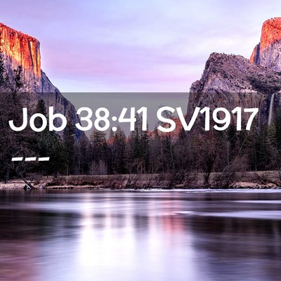 Picture 02 - Job 38:41 SV1917 -  - Bible Verse Picture