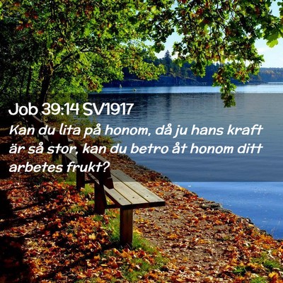 Picture 02 - Job 39:14 SV1917 - Kan du lita på honom, då ju hans kraft är så - Bible Verse Picture