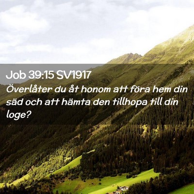 Picture 02 - Job 39:15 SV1917 - Överlåter du åt honom att föra hem din säd - Bible Verse Picture