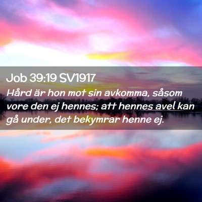 Picture 02 - Job 39:19 SV1917 - Hård är hon mot sin avkomma, såsom vore den ej - Bible Verse Picture