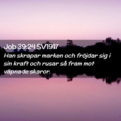 Picture 02 - Job 39:24 SV1917 - Han skrapar marken och fröjdar sig i sin kraft - Bible Verse Picture