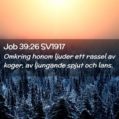 Picture 02 - Job 39:26 SV1917 - Omkring honom ljuder ett rassel av koger, av - Bible Verse Picture