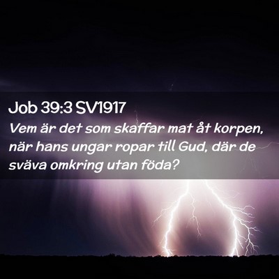 Picture 02 - Job 39:3 SV1917 - Vem är det som skaffar mat åt korpen, när hans - Bible Verse Picture