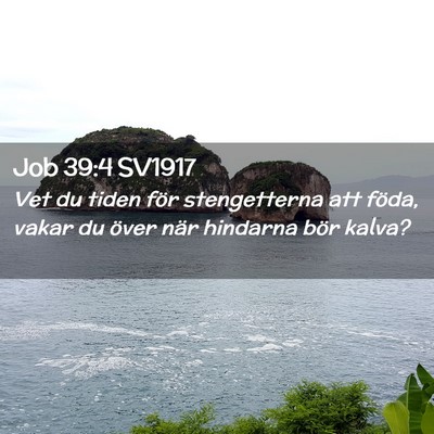Picture 02 - Job 39:4 SV1917 - Vet du tiden för stengetterna att föda, vakar - Bible Verse Picture