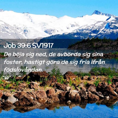 Picture 02 - Job 39:6 SV1917 - De böja sig ned, de avbörda sig sina foster, - Bible Verse Picture