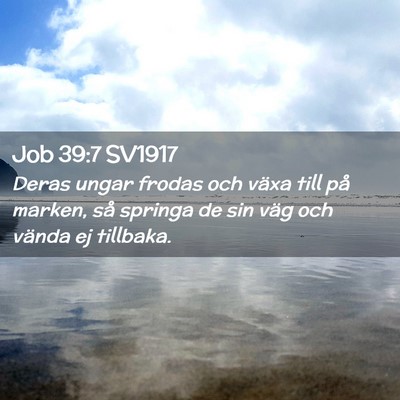 Picture 02 - Job 39:7 SV1917 - Deras ungar frodas och växa till på marken, så - Bible Verse Picture