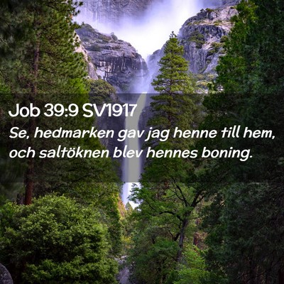 Picture 02 - Job 39:9 SV1917 - Se, hedmarken gav jag henne till hem, och - Bible Verse Picture