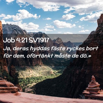 Picture 02 - Job 4:21 SV1917 - Ja, deras hyddas fäste ryckes bort för dem, - Bible Verse Picture