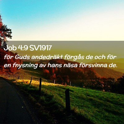 Picture 02 - Job 4:9 SV1917 - för Guds andedräkt förgås de och för en - Bible Verse Picture