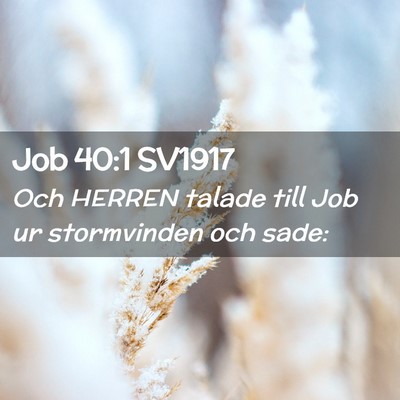 Picture 02 - Job 40:1 SV1917 - Och HERREN talade till Job ur stormvinden och - Bible Verse Picture