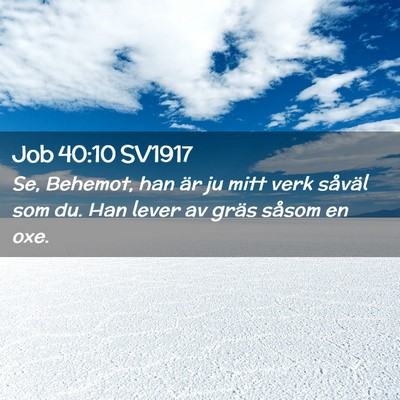 Picture 02 - Job 40:10 SV1917 - Se, Behemot, han är ju mitt verk såväl som du. - Bible Verse Picture