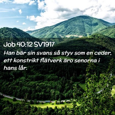 Picture 02 - Job 40:12 SV1917 - Han bär sin svans så styv som en ceder, ett - Bible Verse Picture